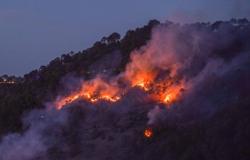 Le Karnataka connaît moins d’incendies de forêt cette année, mais leur intensité est élevée