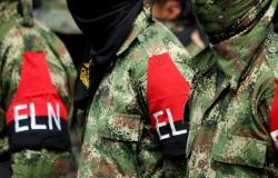 Un rapport des services de renseignement indique que la division au sein de l’ELN porte sur le contrôle de la coca à Nariño
