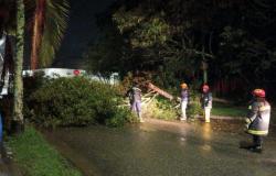 Inondations, habitations touchées et arbres tombés : bilan total après les fortes pluies à La Ceja