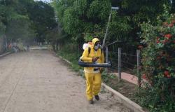 Qu’est-il arrivé à la fumigation contre la dengue à Ibagué ?