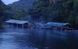 « En Amazonie, tous les types d’exploitation minière sont interdits » – Diario La Nación