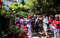PATIOS CORDOUE 2024 | Le taux d’occupation des hôtels des Patios de Córdoba atteint 75%, en dessous de l’année dernière