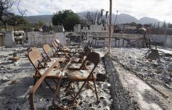 Aucune preuve d’une exposition généralisée au plomb provenant des incendies de Maui, selon les responsables de la santé