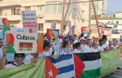 Conga palestinienne gratuite contre l’homophobie et la transphobie à Cuba › Cuba › Granma