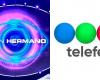 Telefe est en tête du classement malgré avoir augmenté Big Brother 2023 : que s’est-il passé