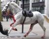2 chevaux militaires qui se sont libérés et ont couru en liberté à travers Londres sont dans un état grave