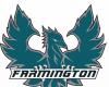 Résumé de la préparation : le football des garçons de Farmington remporte la part de la région 1 avec une victoire à Fremont | Actualités, Sports, Emplois