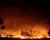 Un regard sur les pires cas d’incendies de forêt en Inde – Firstpost
