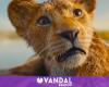 La polémique tourmente “Mufasa”, la préquelle du “Roi Lion”, et son réalisateur défend le film Disney contre les critiques