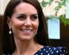 Une information inhabituelle était connue sur la santé de Kate Middleton : que s’est-il passé