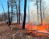 Des gardes forestiers sauvent des randonneurs ADK blessés ; effectuer des brûlages dirigés sur 100 acres