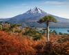 Les 7 plus beaux endroits pour photographier l’automne au Chili