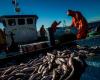 Le fonds mondial lance le premier projet d’amélioration de la pêche au Chili