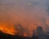 Cinq morts et 1 300 hectares de terres touchés par les incendies de forêt dans l’Uttarakhand, selon les responsables
