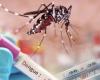 Six décès dus à la dengue à Huila : l’alerte persiste