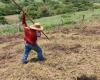 L’Agence Nationale des Terres a remis des terres aux agriculteurs du sud de Huila