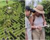 Le plus grand labyrinthe naturel de Colombie ; Il dispose de points de référence et d’une carte pour ne pas vous perdre