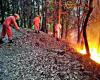 Une femme de 62 ans brûlée dans un incendie de forêt succombe à ses blessures | Actualités Dehradun