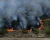 Un feu de brousse dans le comté de St. Lucie pourrait être déclenché par du matériel de pelouse