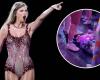 La photo d’un bébé lors d’un concert de Taylor Swift est devenue virale et a suscité l’indignation des « swifties »