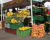 Les entreprises du conglomérat gouvernemental d’Antioquia achèteront des produits alimentaires locaux