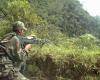 « Ce ne sont pas les FARC, c’est la guerre aux puces » Gouvernement après la dissidence au Cauca – LaVibrante.Com