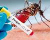 Au cours de l’année, 13 décès ont été enregistrés en raison de possibles cas de dengue à Antioquia