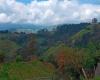 Caldas et Antioquia, unis par le tourisme, l’emploi et l’innovation dans leurs régions – ACTUALITÉS