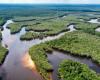 L’Amazonie propose de multiples activités avec le tourisme communautaire