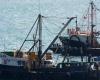 punition de la pêche artisanale et impunité pour la grande industrie