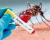 Huila, le quatrième département avec le plus de cas de dengue • La Nación