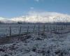 Les cartes postales incontournables que la neige a laissées dans la Valle de Uco