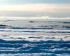 Froid extrême en Terre de Feu : les vagues de la mer ont gelé dans le nord de la province