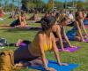 Le Parlement célèbre la Journée internationale du yoga avec un festival